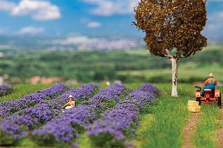 Faller 181279 HO Scale Lavender Field -- Builds Up To 6-7//8 x 5 x 7/16" 17.5 x 12.5 x 1.1cm