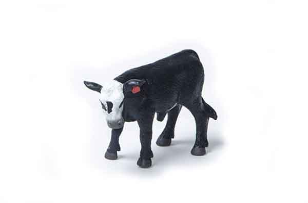 Little Buster 500267 1/16 Scale Black and White Face Baldy Calf SUPER DURABLE