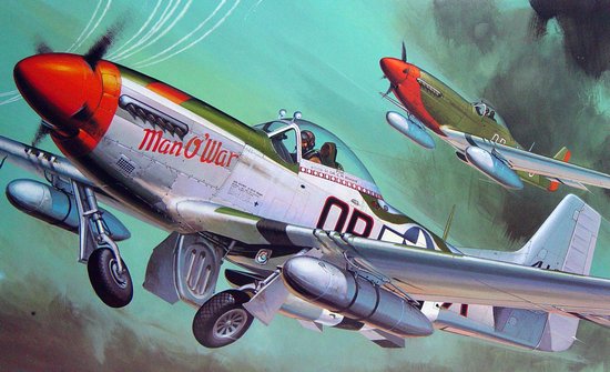 Hasegawa 8055 1/32 P51D Mustang Fighter