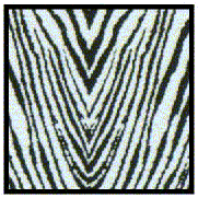 Scale Motorsport 1975 1/24 Zebra Animal Hide on Clear Upholstery Pattern Decal