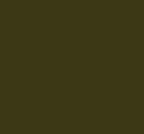 AK Interactive 11310 AFV Series: Olive Green opt 2 RAL6003 3G Acrylic Paint 17ml Bottle