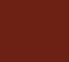 AK Interactive 11328 AFV Series: Red Brown RAL8012 3G Acrylic Paint 17ml Bottle