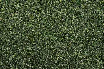 Bachmann 32903 All Scale SceneScapes(TM) Grass Mat -- Meadow - 100 x 50" 254 x 127cm