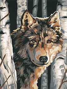 Dimensions Puzzles 91325 Wolf among Birches Paint by Number (9"x12")