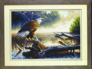 Dimensions Puzzles 91379 Eagle Hunter Paint by Number (20"x14")