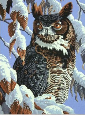 Dimensions Puzzles 91476 Winter Watch (Owl in Tree Snow Scene) Paint by Number (11"x14")