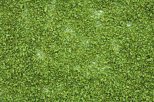 Noch 7152 All Scale Foliage -- Light Green - 3-1/2oz 100g Plastic Tub