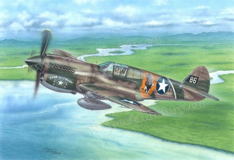 Special Hobby 72338 1/72 P40E Warhawk Claws and Teeth Fighter