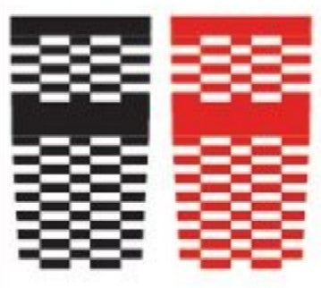 Scale Motorsport 1984 1/12  Shelby GT500 Checkerboard Black & Red on ClearUpholstery Pattern Decal (D)
