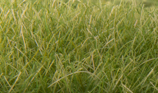 Woodland Scenics FS626 All Scale Static Grass Medium Green 12mm