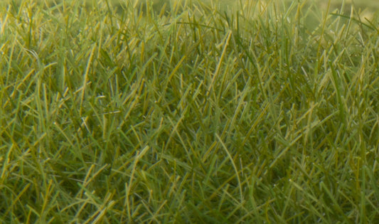Woodland Scenics FS625 All Scale Static Grass Dark Green 12mm