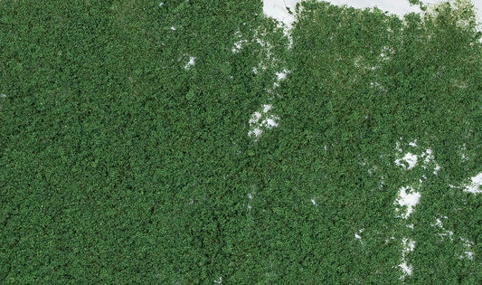 Woodland Scenics F53 All Scale Foliage Dark Green
