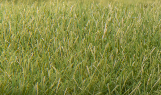 Woodland Scenics FS622 All Scale Static Grass Medium Green 7mm