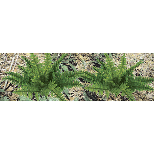 JTT Scenery 95533 Ho Ferns 5/8'