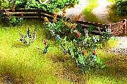 Noch 14056 HO Scale Field & Wildflowers - Laser-Cut Minis(R) -- Makes 17 Plants