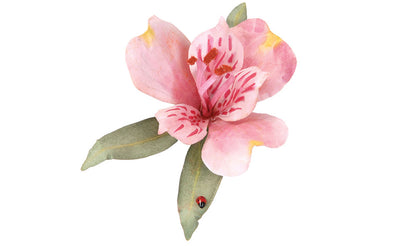 Woodland Scenics T4647 All Scale Pollen - Red