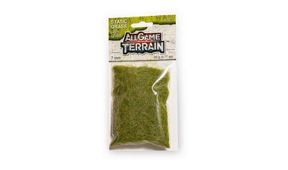 Woodland Scenics G6583 All Scale Static Grass - 7 mm Light Green