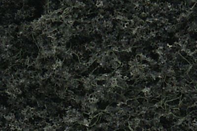 Woodland Scenics 1106 Realistic Tree Kit Pines Conifer Green 6" - 8" (16)