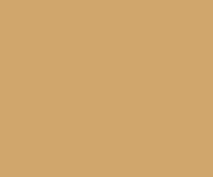 AK Interactive 11363 AFV Series: French Army Desert Sand 3G Acrylic Paint 17ml B