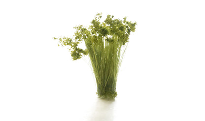 Woodland Scenics FS777 All Scale Medium Green Prairie Grass