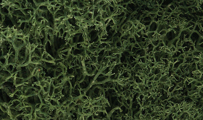 Woodland Scenics SP4185 All Scale Plants