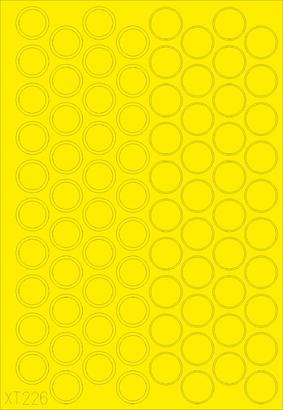 Eduard XT226 1/35 Express Mask- Brummbar for ACY