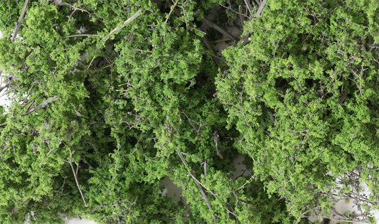 Woodland Scenics F1131 All Scale Fine-Leaf Foliage Medium Green