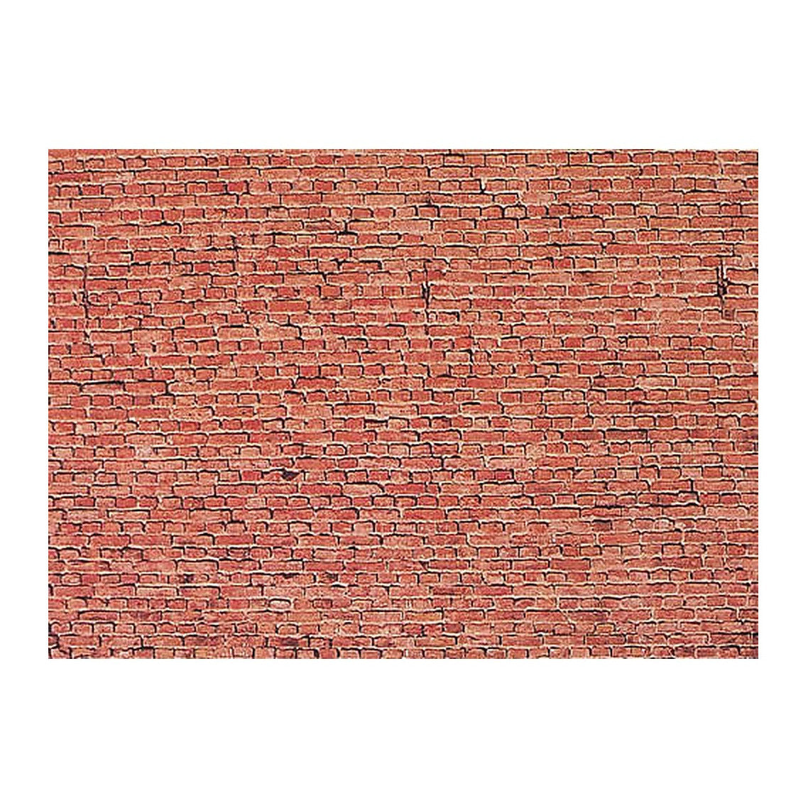 272 170607