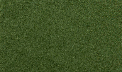 Woodland Scenics G6436 All Scale Spring Grass