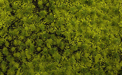 Bachmann 32921 All Scale SceneScapes Tufted Grass Sheet/Mat — Light