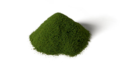 Woodland Scenics G6436 All Scale Spring Grass