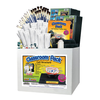 Woodland Scenics SP4253 All Scale Cell Structure Classroom Pack (US
