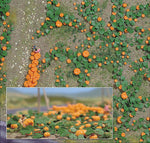 Busch 1201 HO Scale Pumpkin Patch Kit