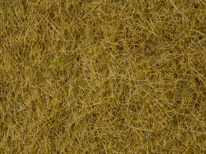 Noch 7101 All Scale Wild Grass, Beige, 50g