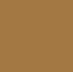 AK Interactive 11326 AFV Series: Sand Brown RAL8031 F9 3G Acrylic Paint 17ml Bot
