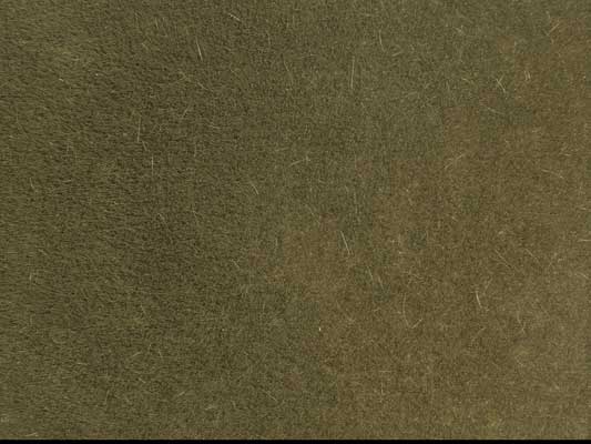 Noch 7122 All Scale Wild Grass Browm