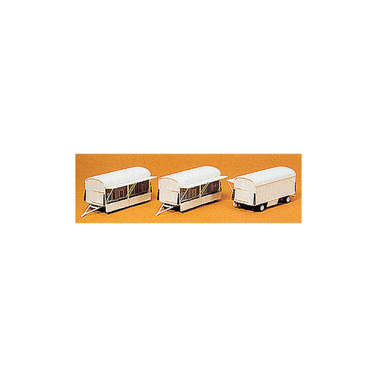 590 20007
