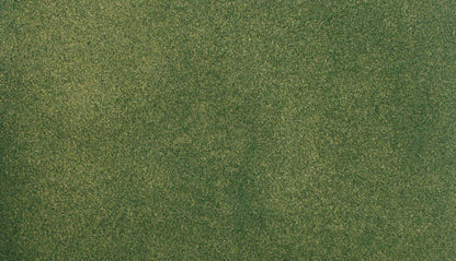 Woodland Scenics RG5172 All Scale Green Grass Small Roll (US Only)