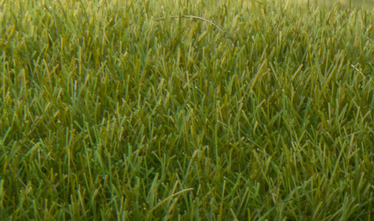 Woodland Scenics FS621 All Scale Static Grass Dark Green 7mm