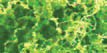 JTT Scenery 95064 Fiber Cluster Lt Grn Fine 150