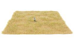 Walthers SceneMaster 949-1130 Tear & Plant Meadow Mat - Winter Meadow