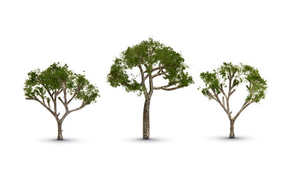 Woodland Scenics TR3525 All Scale Gum Trees