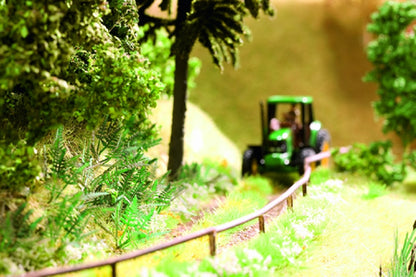 Noch 14100 All Scale Ferns -- pkg(9)