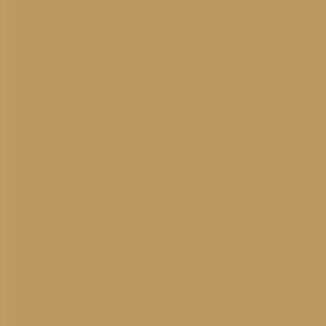 AK Interactive 11325 AFV Series: Sand Beige RAL1039 F9 3G Acrylic Paint 17ml Bot