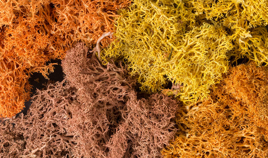 Woodland Scenics L165 All Scale Lichen - Autumn Mix