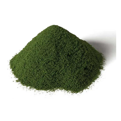 Woodland Scenics G6436 All Scale Spring Grass