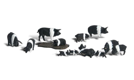 Woodland Scenics A1864 HO Scale Hampshire Pigs