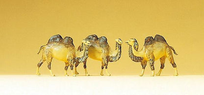 Preiser 79711 N Scale Animals Camels