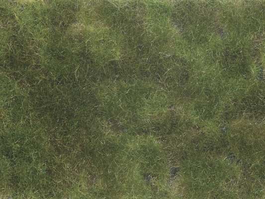 Noch 7251 All Scale Ground Cover Foliage Pad -- Olive Green