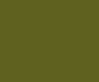 AK Interactive 11348 AFV Series: Australian Camouflage Green 3G Acrylic Paint 17